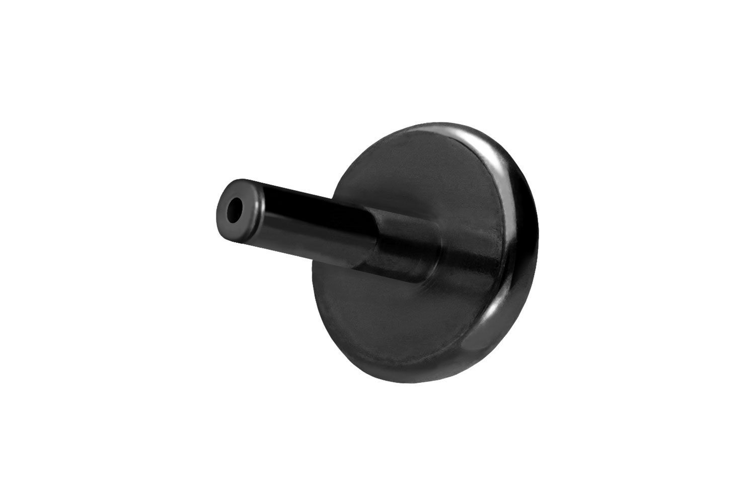 Titan Labret Piercing mit Push Fit ohne Kugel